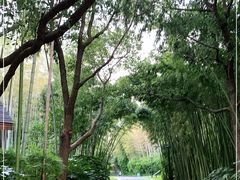 -苏州河梦清园环保主题公园