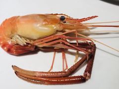 -潮粤香海鲜酒楼(沙湖店)