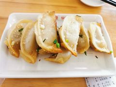 鲜肉锅贴-小姜锅贴(凤凰街店)
