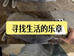 -金轮星光名座生活广场