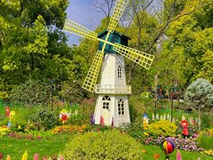 -上海共青森林公园