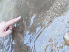 -碓臼峪自然风景区