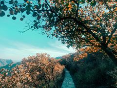-周口店坡峰岭风景区
