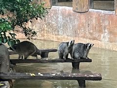 -长鹿旅游休博园