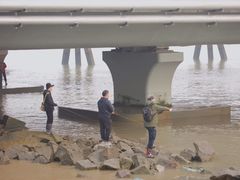 -吴淞炮台湾湿地森林公园烧烤区