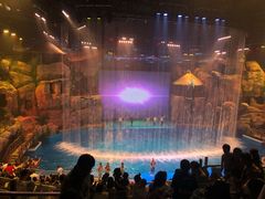 -芜湖新华联大白鲸海洋公园