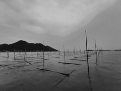-北岐滩涂