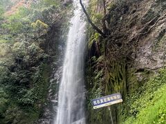 -莫里热带雨林景区