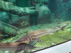 -福州罗源湾海洋世界旅游区