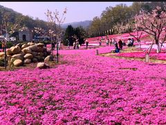 -棒棰岛宾馆景区