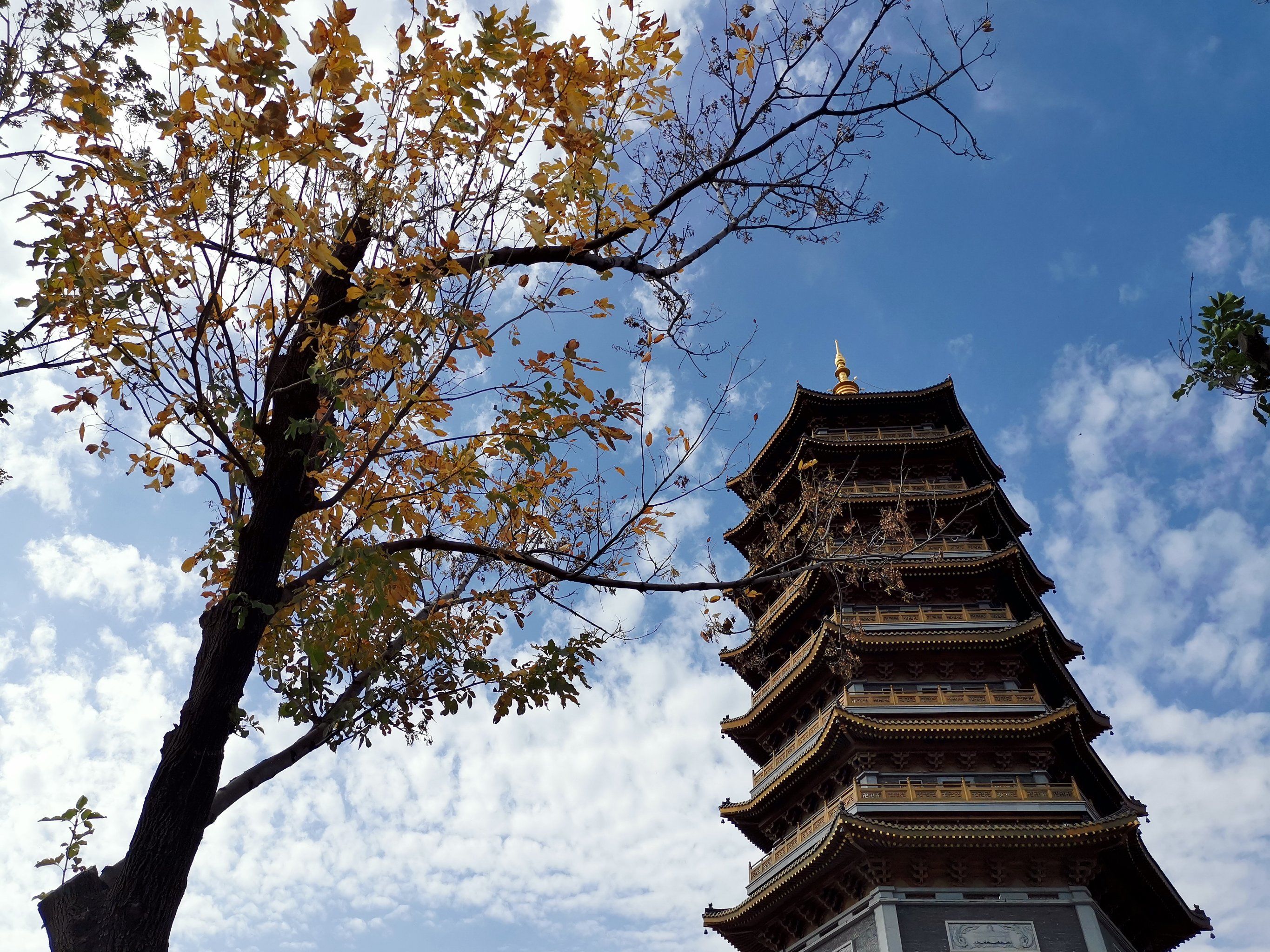 长春的风景