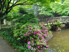 -食膳公园包子铺(烈士公园店)