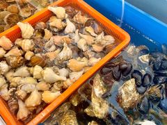 -威海九禧海鲜居渔水饺(经区店)