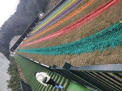 -梦幻奥陶纪景区