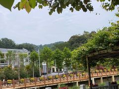 -广州白江湖森林公园