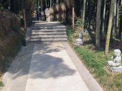 -东明山森林公园