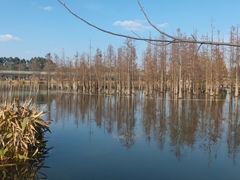 -白鹭湾湿地公园