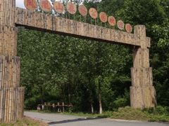 iphone_upload_pic-安康凤凰山森林公园