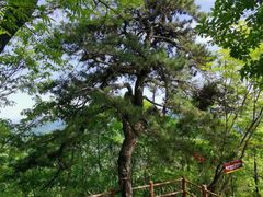 -塔云山