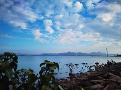 -深圳湾公园(南山区)