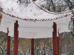 -黑龙江大学