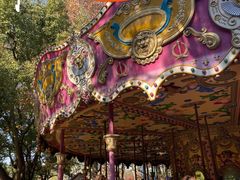 -上海共青森林公园