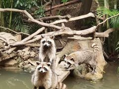 -长鹿旅游休博园