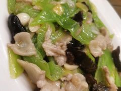 木耳肉片-月圆霖特色农家乐