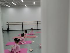 -中央芭蕾舞团·中芭艺蕾(酒仙桥明星校区)