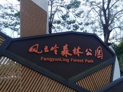 -风云岭森林公园