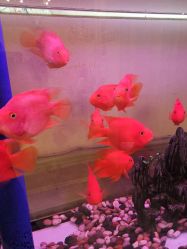 -非常六加一儿童摄影(同安店)