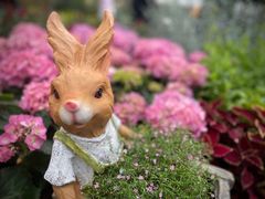 -人民公园(罗湖区)