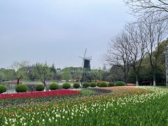 -上海鲜花港