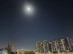 -金沙湖公园