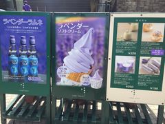 -富田农场