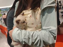 -椒鸣椒麻小馆·新疆菜(五道口创始店)