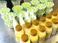 -德禄酸奶(莫家街店)