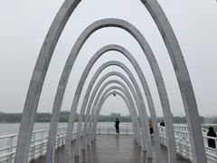 -大兴滨河森林公园