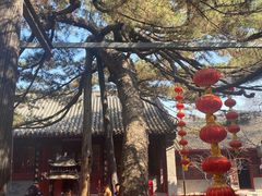 -红螺寺