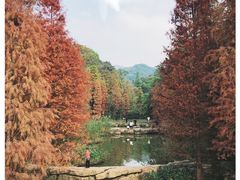 -云溪植物园
