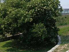 -马家湾湿地公园