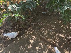 -呀诺达热带雨林