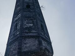 -上海佘山国家森林公园天马山园