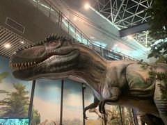 -湖南省地质博物馆