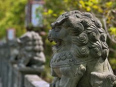 -高旻寺