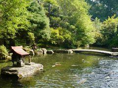 -白川乡与五箇山的合掌构造村落