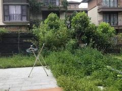 -美的鹭湖森林度假区