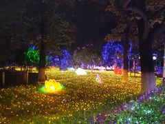 -青龙湖公园