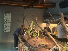 -曲廊院(东四十一条店)