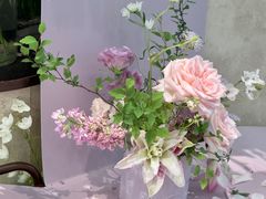 -Tomacado花厨(One ITC店)